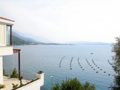 Вилла в Герцег-Нови, Черногория, 130м2 - стоимость 290&nbsp;000€ - Ref: 4939 фото 2