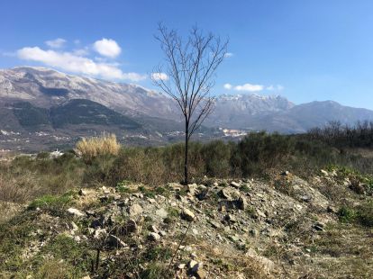 Участок в Герцег-Нови, Черногория за 85 000€ (ID:10674)