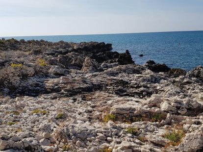 Działka w Utehe, Czarnogóra - koszt 1&nbsp;600&nbsp;000€ - Ref: 10860 zdjęcia 12