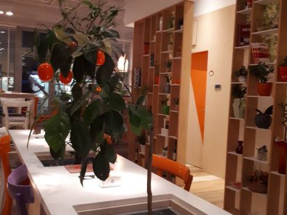 Ресторан в Подгорице, Черногория - стоимость 170&nbsp;000€ - Ref: 10791 фото 11