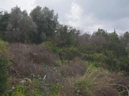 Ділянка у Тіваті, Чорногорія - вартість 137&nbsp;000€ - Ref: 10698 фото 2