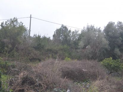 Ділянка у Тіваті, Чорногорія - вартість 137&nbsp;000€ - Ref: 10698 фото 3