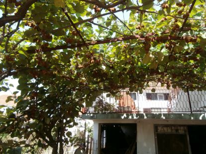 Hotel in Dobra Voda, Montenegro, 237m2 - kosten 180&nbsp;000€ - Ref: 11403 foto 6