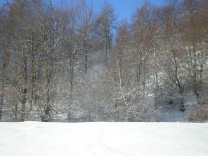 Участок в Жабляке, Черногория, 1 000м2 - стоимость 12&nbsp;000€ - Ref: 11408 фото 7