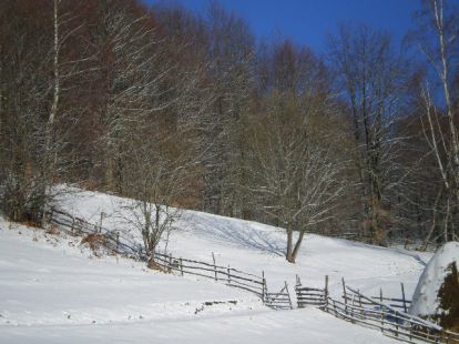 Участок в Жабляке, Черногория, 1 000м2 - стоимость 12&nbsp;000€ - Ref: 11408 фото 8