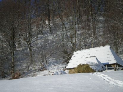 Участок в Жабляке, Черногория, 1 000м2 - стоимость 12&nbsp;000€ - Ref: 11408 фото 9