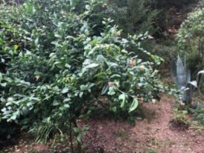 Wohnungen in Budva, Montenegro, 87m2 - kosten 125&nbsp;000€ - Ref: 11415 foto 3