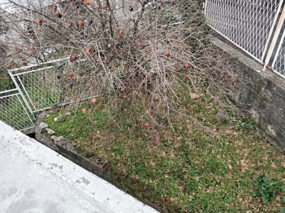 Таунхаус в Сутоморе, Черногория, 105м2 - стоимость 55&nbsp;000€ - Ref: 12826 фото 15