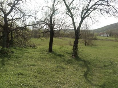 Дом в Даниловграде, Черногория - стоимость 80&nbsp;000€ - Ref: 13751 фото 2