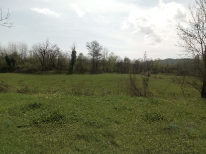 Дом в Даниловграде, Черногория - стоимость 80&nbsp;000€ - Ref: 13751 фото 3