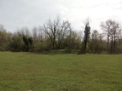 Дом в Даниловграде, Черногория - стоимость 80&nbsp;000€ - Ref: 13751 фото 5