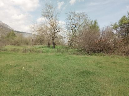 Дом в Даниловграде, Черногория - стоимость 80&nbsp;000€ - Ref: 13751 фото 8