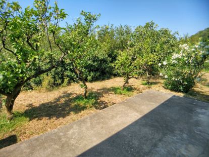 Бизнес в Баре, Черногория, 192м2 - стоимость 165&nbsp;000€ - Ref: 14880 фото 26