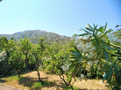 Бизнес в Баре, Черногория, 192м2 - стоимость 165&nbsp;000€ - Ref: 14880 фото 27