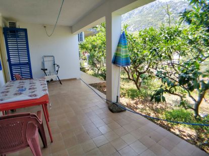 Бизнес в Баре, Черногория, 192м2 - стоимость 165&nbsp;000€ - Ref: 14880 фото 12