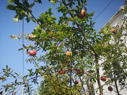 Cottage in Bar, Montenegro, 164m2 - for 300&nbsp;000€ - Ref: 15981 photo 24