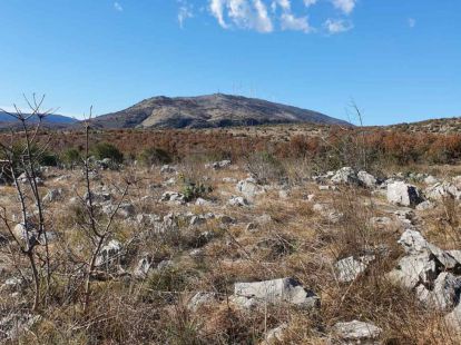 Land in Ulcinj, Montenegro, 17 926m2 - Ref: 18242 photo 2