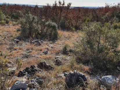 Land in Ulcinj, Montenegro, 17 926m2 - Ref: 18242 photo 5